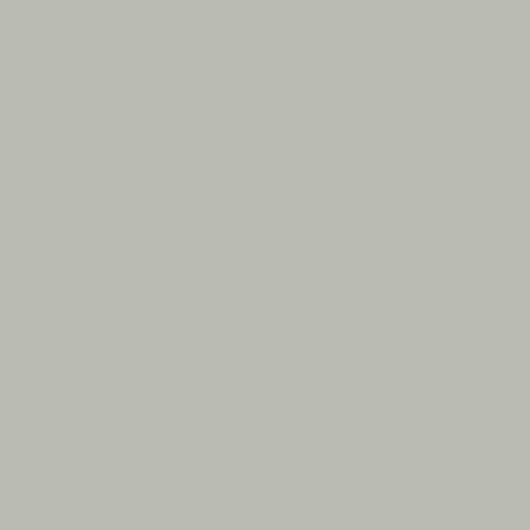 Bone White — Classic Colours finish