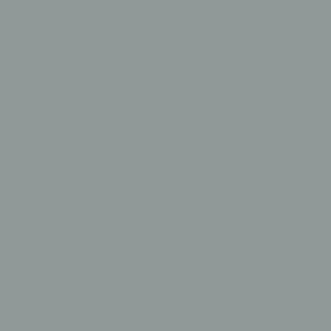 Regent Grey — Classic Colours finish