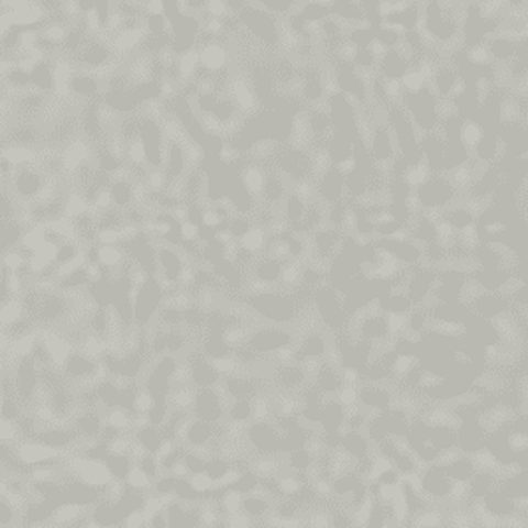 Silver Metallic — Signature Colours finish